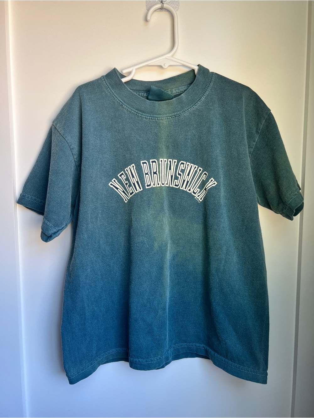 Vintage New Brunswick Graphic T-Shirt Youth Small 10-12 Blue Green